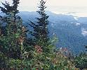 Smoky Mountains,1989